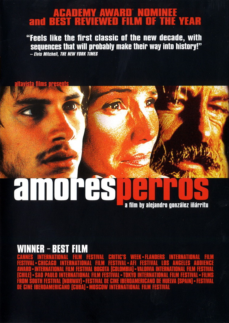 amores perros pic